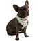 Mechaly Cotton Funny Dog Bandana with Designs Durable Birthday Pet Scarf